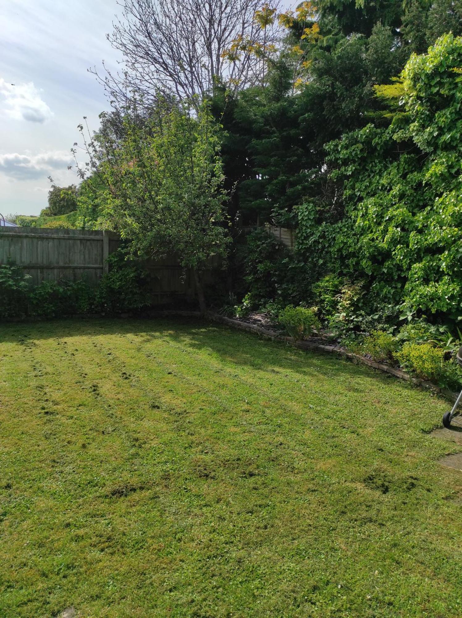 Bury St. Edmunds Number 8 With Free Parking 빌라 외부 사진